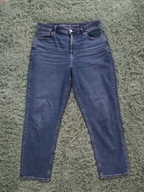 American Eagle Outfitters High-Rise Dark Wash Mom Jean